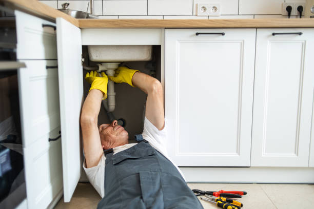 Best Sprinkler Systems  in Bonita, CA